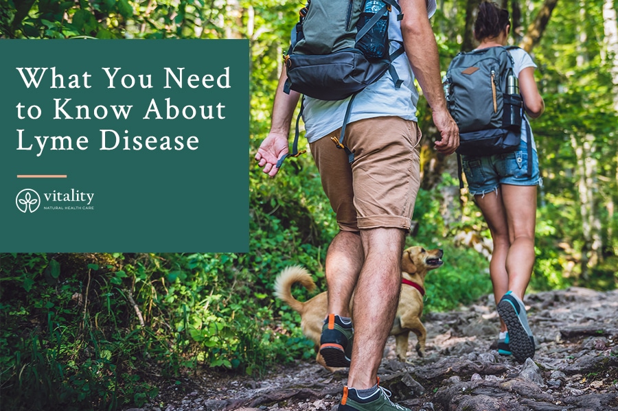 What To Know About Lyme Disease