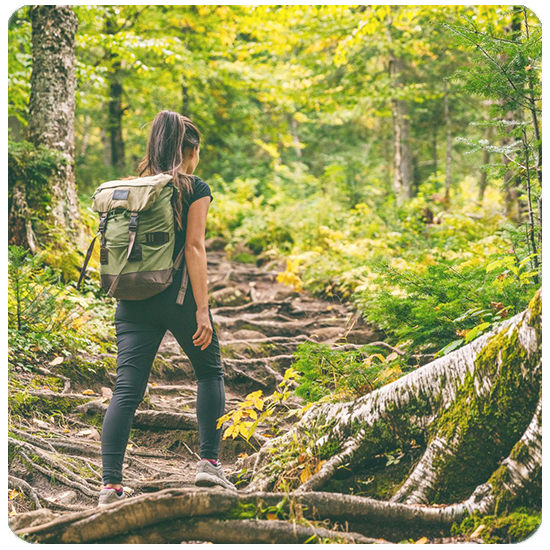Lyme-Disease-Square